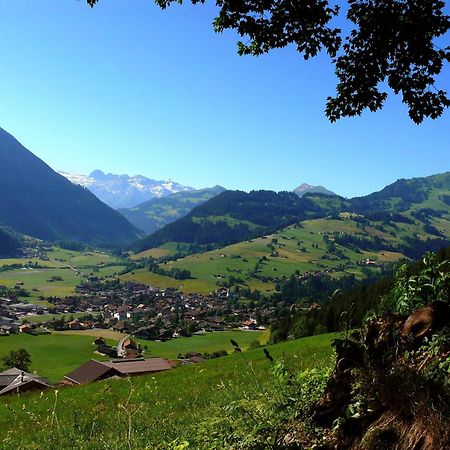 Sonnegg Hotel Zweisimmen Ngoại thất bức ảnh