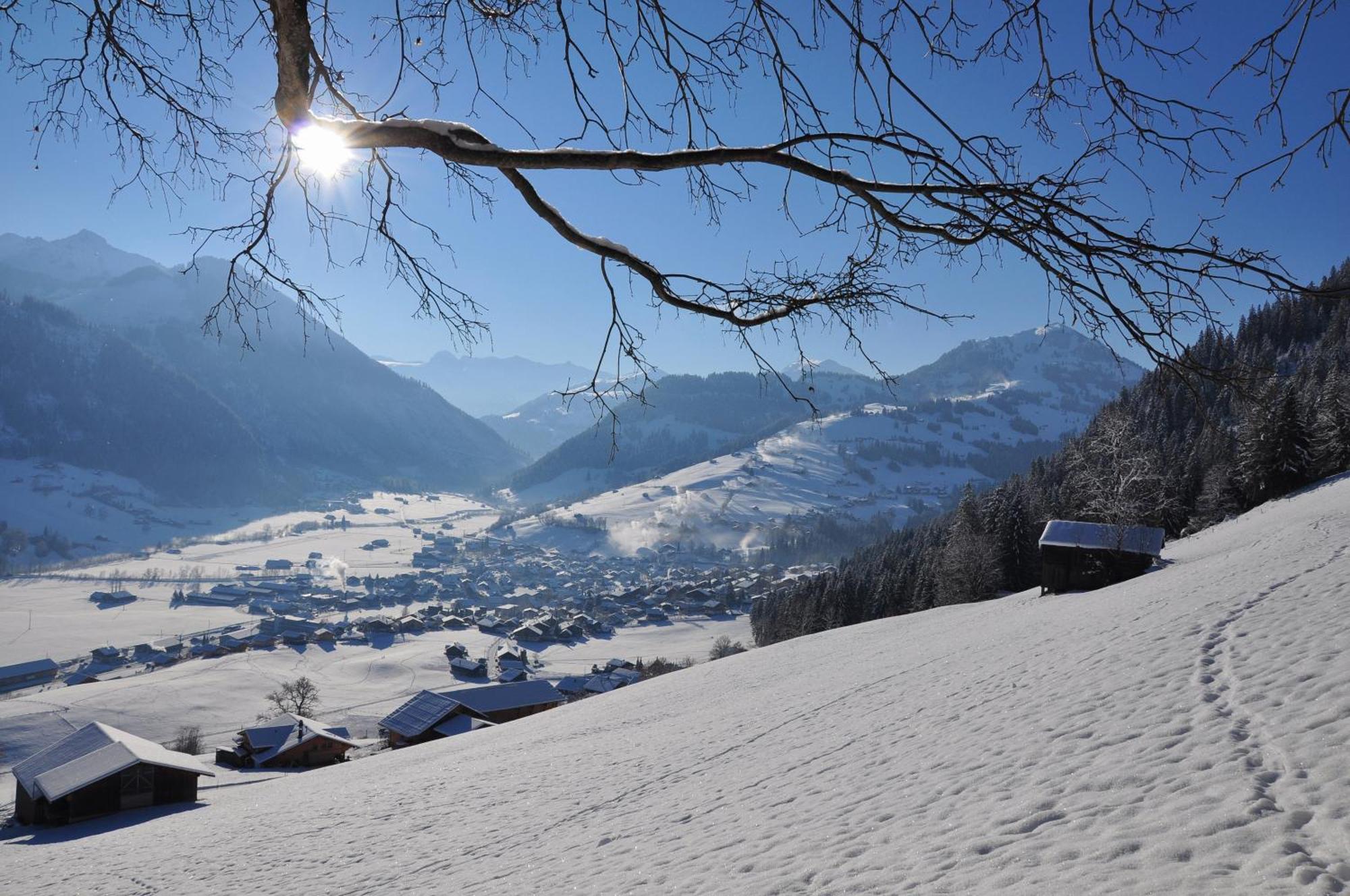 Sonnegg Hotel Zweisimmen Ngoại thất bức ảnh