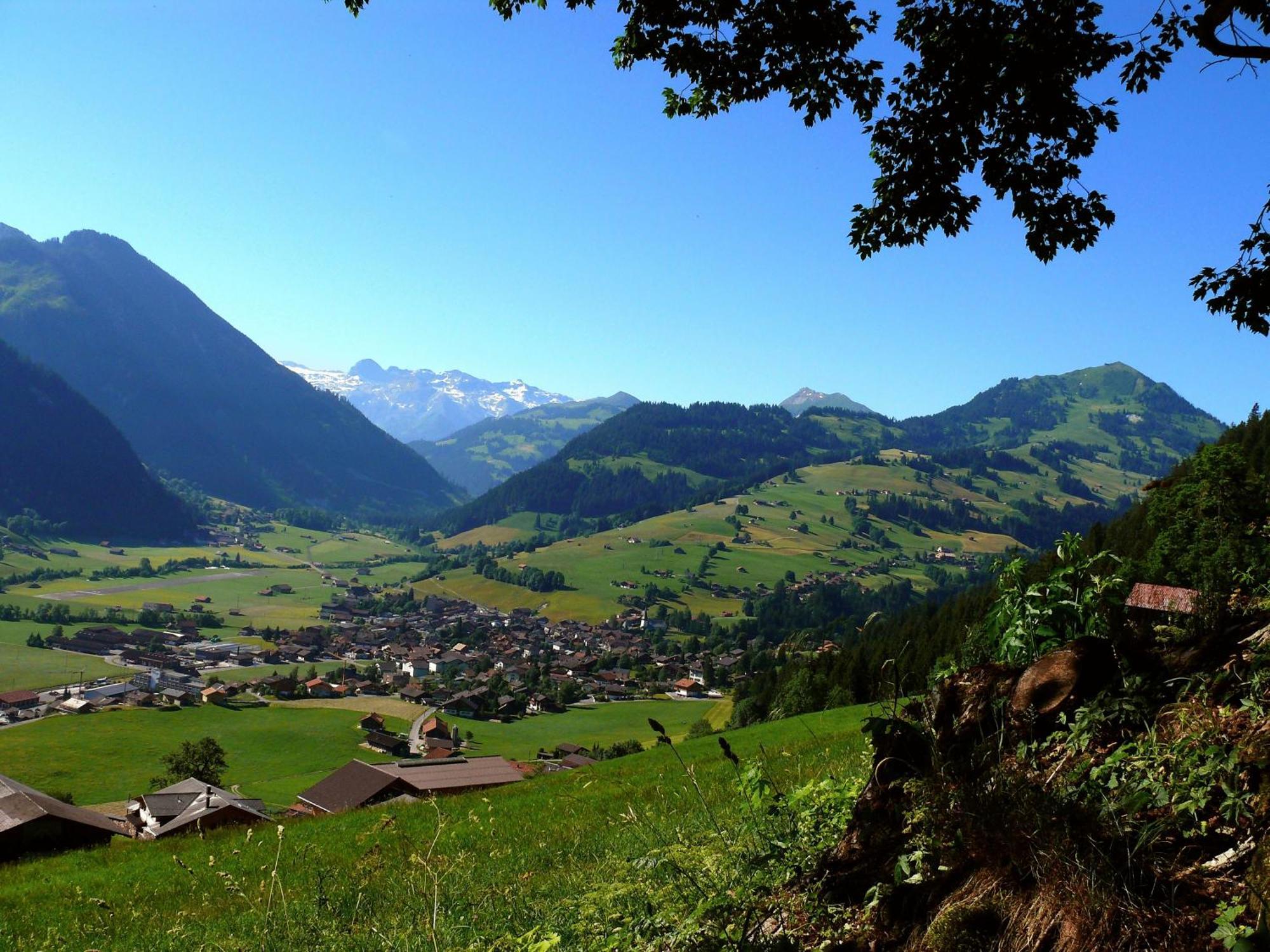 Sonnegg Hotel Zweisimmen Ngoại thất bức ảnh